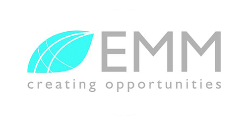 EMMConsulting